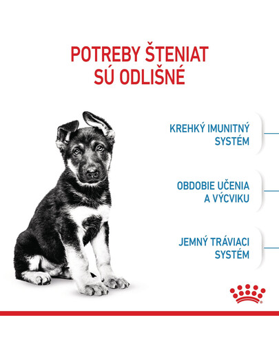 ROYAL CANIN Maxi Puppy 4kg granule pre šteňatá veľkých plemien