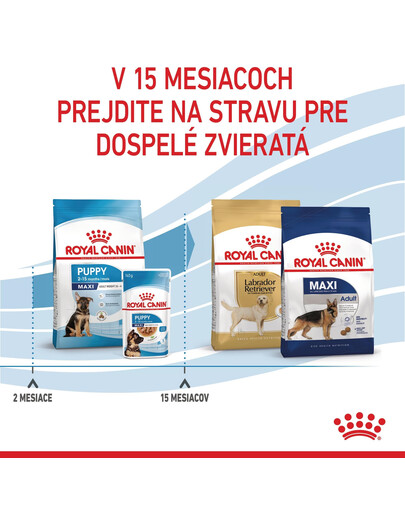 ROYAL CANIN Maxi Puppy 4kg granule pre šteňatá veľkých plemien