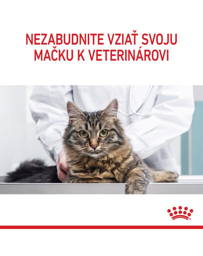 ROYAL CANIN Digestive care 10 kg granule pre mačky na podporu zdravého trávenia