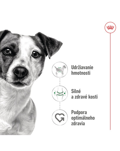 ROYAL CANIN Mini Adult 8kg granule pre dospelých psov malých plemien