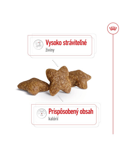 ROYAL CANIN Mini Adult 8kg granule pre dospelých psov malých plemien