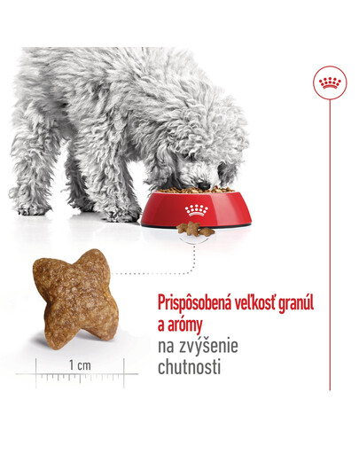 ROYAL CANIN Mini Adult 8kg granule pre dospelých psov malých plemien