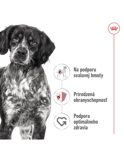 ROYAL CANIN Medium Adult 4kg granule pre dospelých psov stredných plemien starších ako 12 mesiacov