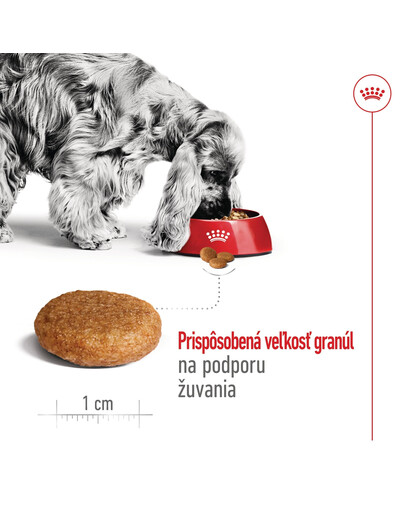 ROYAL CANIN Medium Adult 4kg granule pre dospelých psov stredných plemien starších ako 12 mesiacov