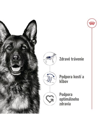 ROYAL CANIN Maxi Adult 15kg granule pre dospelých psov veľkých plemien