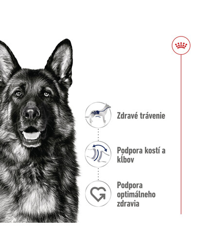 ROYAL CANIN Maxi Adult 10kg granule pre dospelých psov veľkých plemien