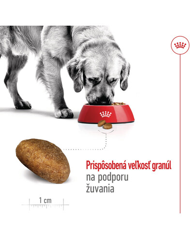 ROYAL CANIN Maxi Adult 10kg granule pre dospelých psov veľkých plemien