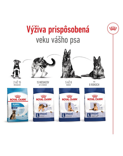 ROYAL CANIN Maxi Adult 10kg granule pre dospelých psov veľkých plemien