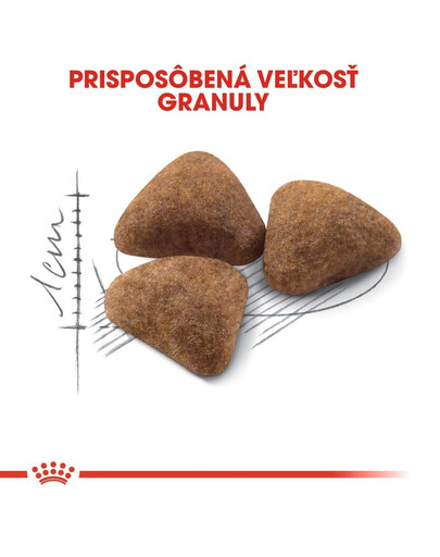 ROYAL CANIN Indoor 4 kg granule pre dospelé mačky chované v byte