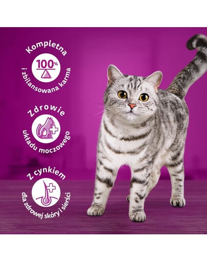 WHISKAS Adult mix hydinových príchutí v želé 40x85g