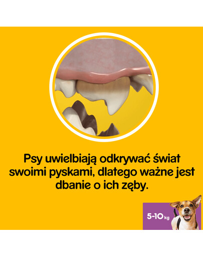 PEDIGREE Dentastix pre malé rasy 8x110 g