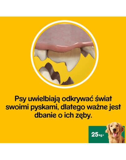 PEDIGREE Dentastix veľké rasy 8x270g