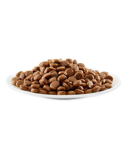 APPLAWS Cat Adult Chicken & Salmon 2 kg