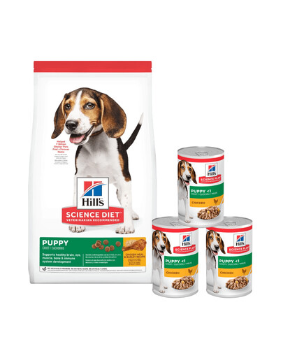 HILL'S Science Plan Puppy <1 Medium breed sucha karma z kurczakiem 14 kg + 3 puszki GRATIS