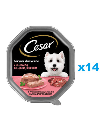 CESAR podnos 14x150 g kompletné mokré krmivo pre dospelých psov, terina s jemným teľacím mäsom a hydinou