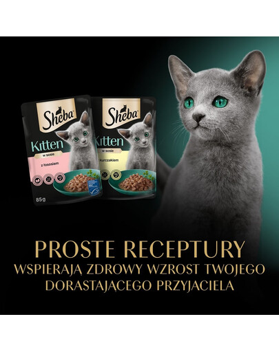 SHEBA Kitten Výber príchutí v omáčke 4x85g krmivo s lososom a kuracím mäsom pre mačiatka