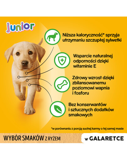 PEDIGREE Pedigree Junior v želé 12x100g