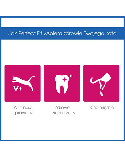 PERFECT FIT Adult 1+ losos 6 x 750 g