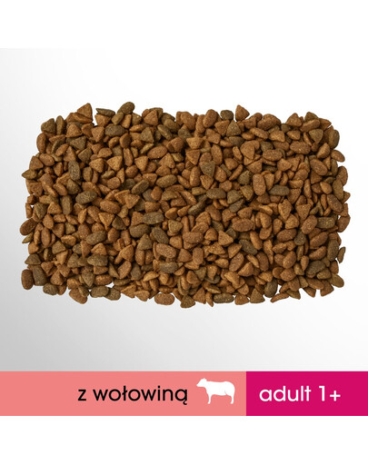 PERFECT FIT Cat 6x750 g Adult beef multi