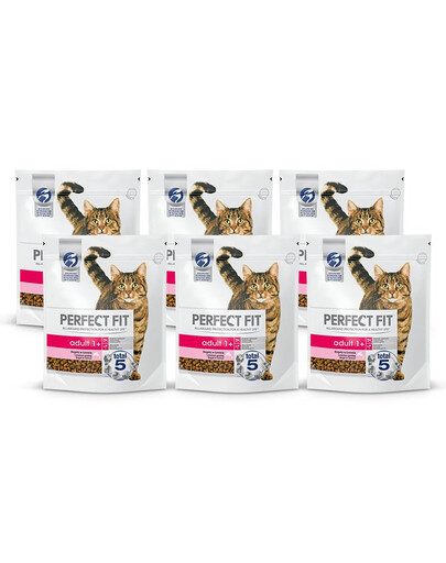 PERFECT FIT Adult 1+ losos 6 x 750 g