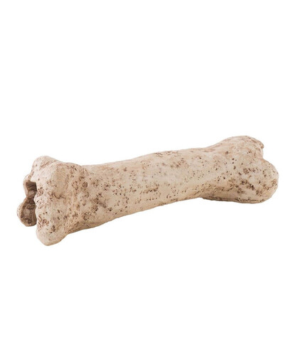 ExoTerra Úkryt kosť dinosaura