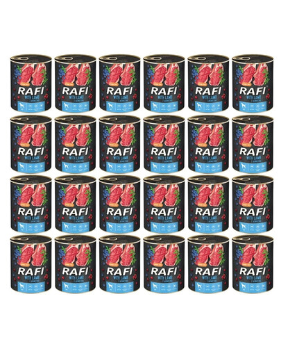 DOLINA NOTECI RAFI Jahňa 24x400g