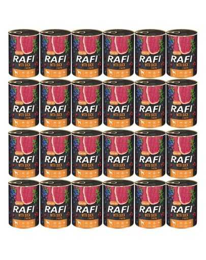 DOLINA NOTECI RAFI Kačica 24x400 g
