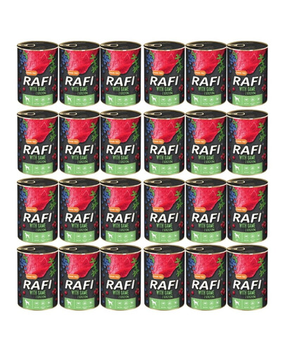 DOLINA NOTECI RAFI Divina 24x400g