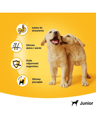 PEDIGREE Konzerva junior kurča v aspiku 400 g