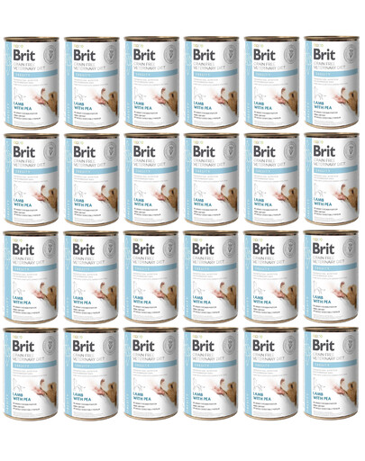BRIT Veterinary Diet Obesity Lamb&Pea 24x400 g