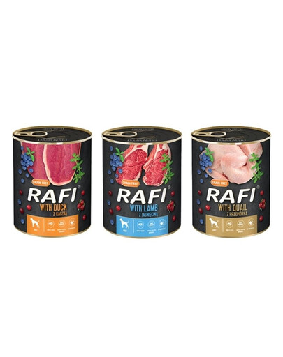 DOLINA NOTECI RAFI mix chutí (kačica, prepelica, jahňacie mäso) 36x400g krmivo pre psa