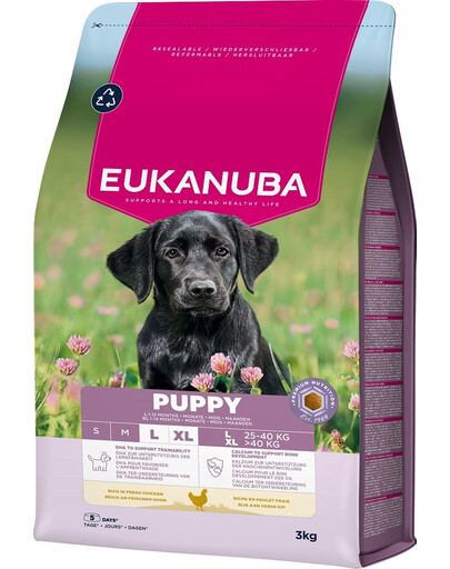 EUKANUBA Puppy Large Breeds Chicken 3 kg Suché krmivo pre šteniatka veľkých plemien bohaté na čerstvé kurča