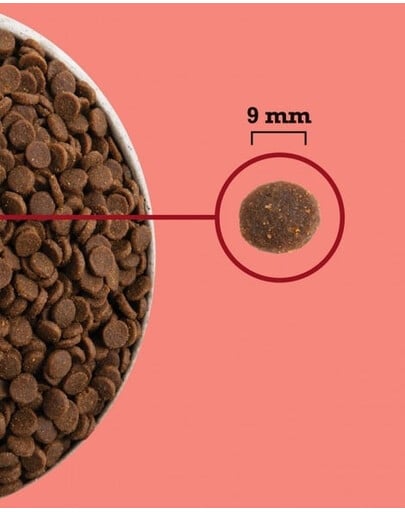 ACANA Highest Protein Indoor Cat 4,5 kg