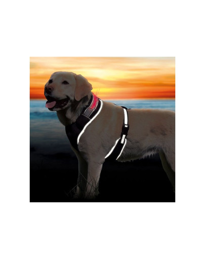 TRIXIE Szelki flash L - XL 65-100 cm czarne