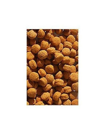 Versele-LAGA Nutribird h16 10 kg