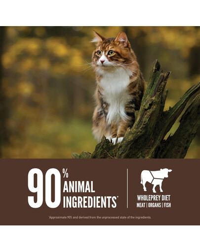 ORIJEN Regional Red Cat 1.8 kg