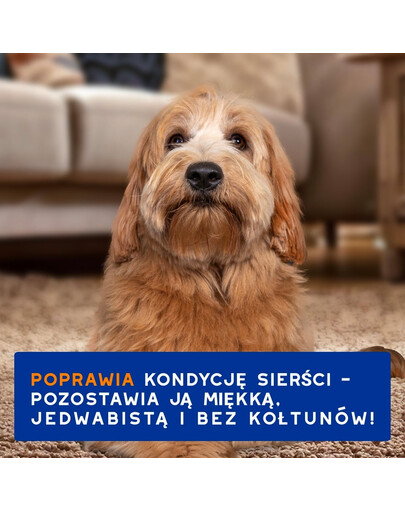 DOUXO Skin & Coat 2in1 Conditioning Shampoo 250 ml šampón s kondicionérom 2v1 pre psov