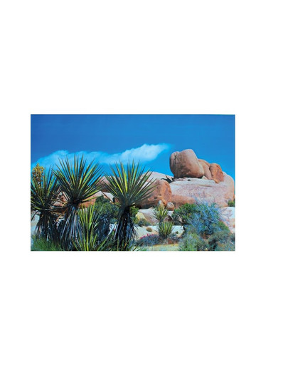 Trixie Pozadie obojstranné Púšť/Step 60x150 cm