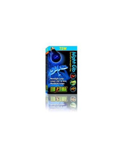 HAGEN ExoTerra žiarovky night glo 75 W