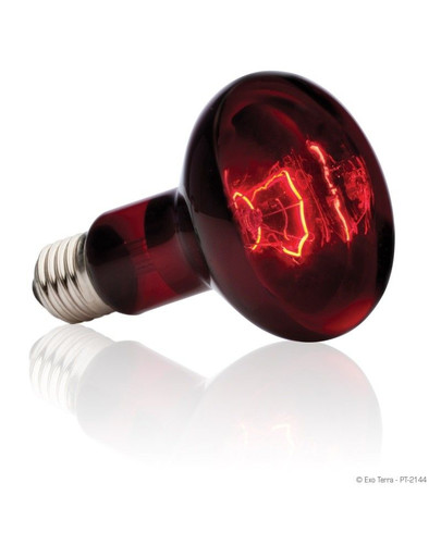 HAGEN ExoTerra žiarovky heat glo100 W 80 mm