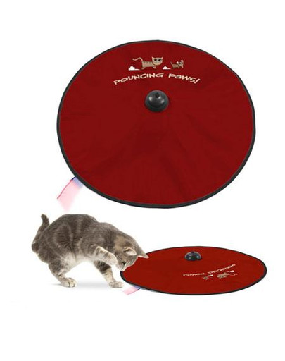 KITTY CITY Pouncing paws