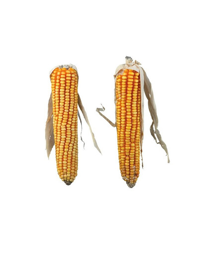 TRIXIE Klasy kukurice pre králika 2 ks / 250 g