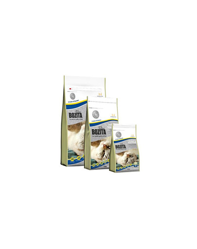 BOZITA Feline indoor & sterilised - karma dla kotów sterylizowanych 10 kg