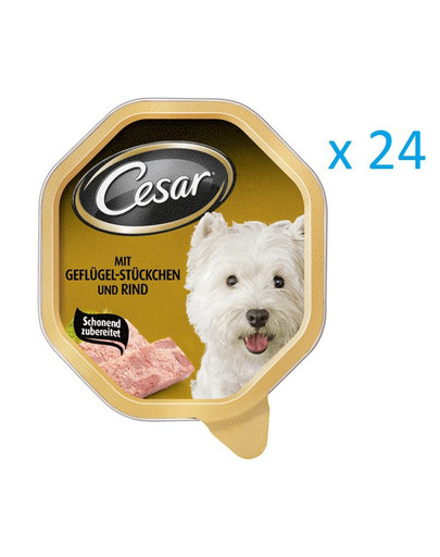 CESAR hydinové mäso so zeleninou v omáčke 0.15 kg x24
