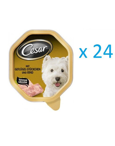 CESAR šťavnaté hovädzie mäso a hydina 0.15 kg x24