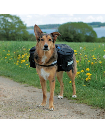 TRIXIE Batoh na chrbát psa 2 Julius-K9, čierny