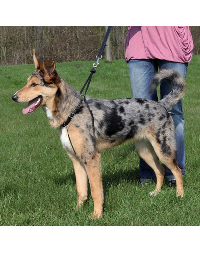 TRIXIE Postroj pre psa proti ťahaniu "EASY WALK" S 22-30cm