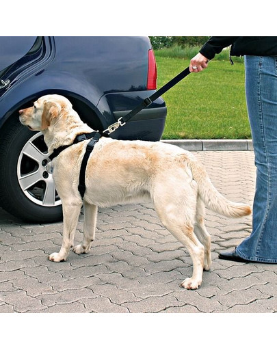 TRIXIE Bezpečnostný pás do auta pre psa XL
