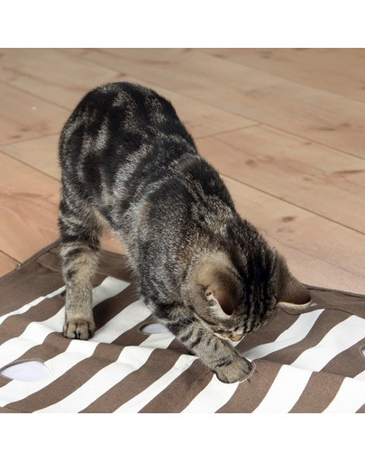 TRIXIE Cat Activity zábavná deka pre mačky 70 × 50 cm