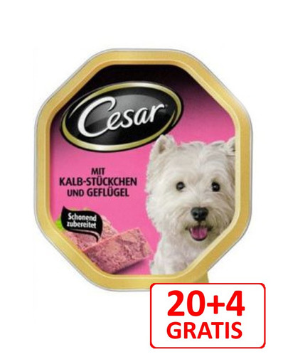 CESAR teľacie a hydinové mäso 150 gx 24